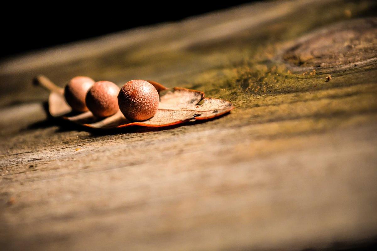 특장점 01: 초정밀 텍스처 구현